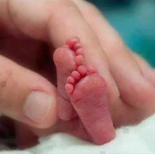 Soutien parental de jour alexandra lancellotti