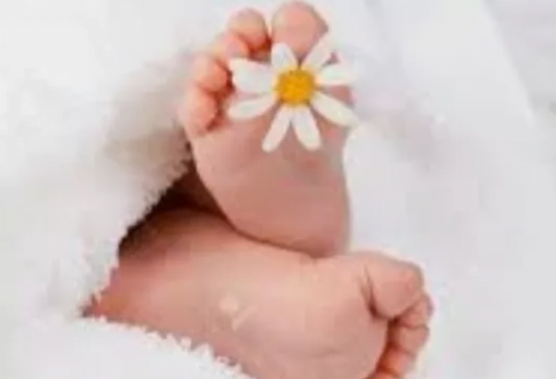 alexandra lancellotti aide parentale en journée